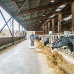 BL2024 - Salariés agricoles du Tarn