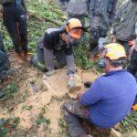 StageTronconneuse - Salariés agricoles du Tarn