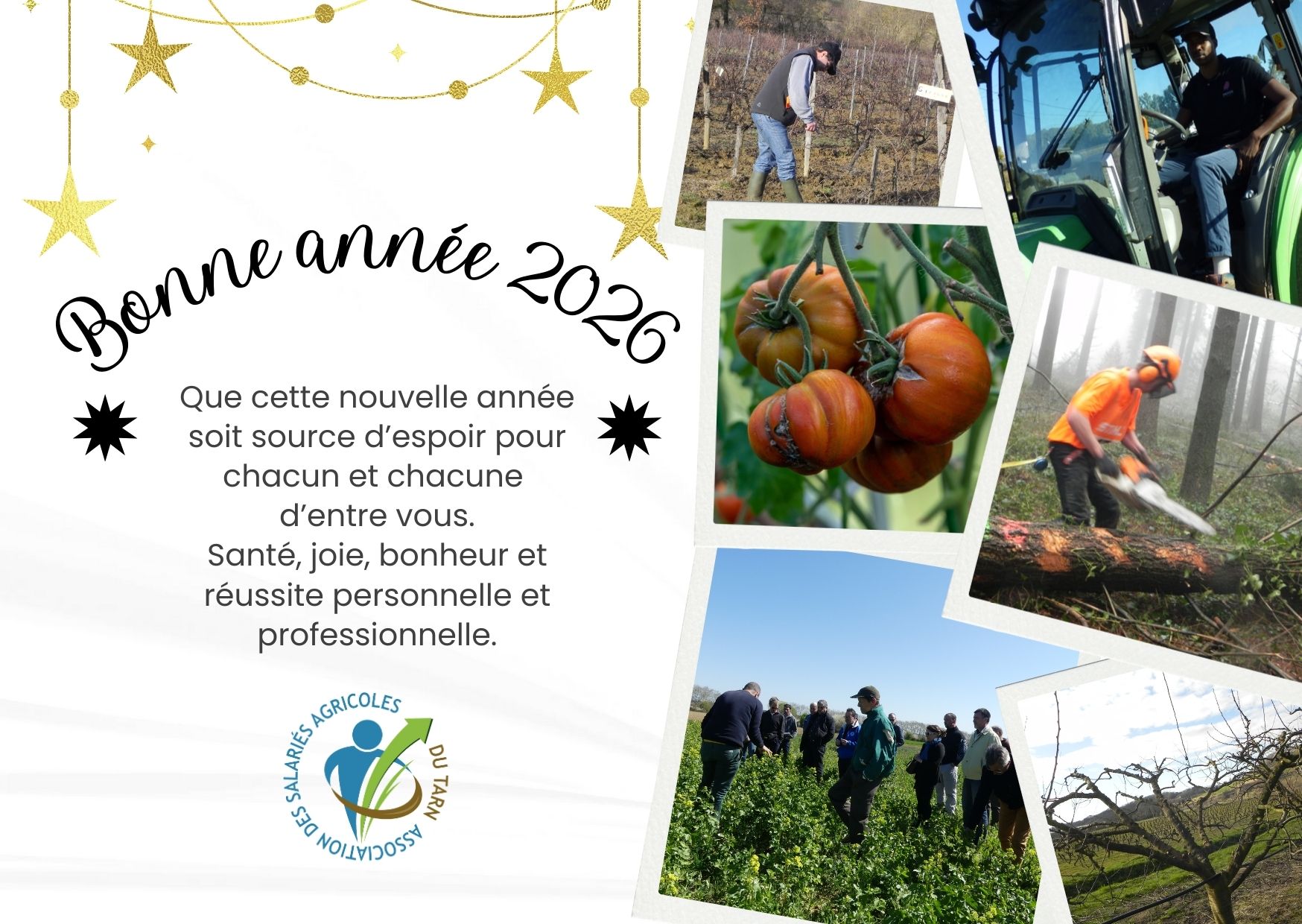 carte voeux 2026 professionnellejpg - Salariés agricoles du Tarn