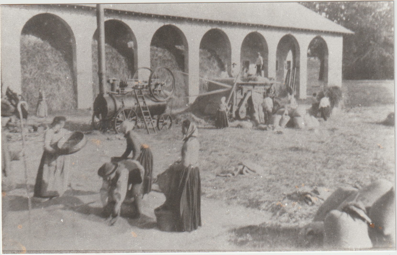 moisson escande - Salariés agricoles du Tarn