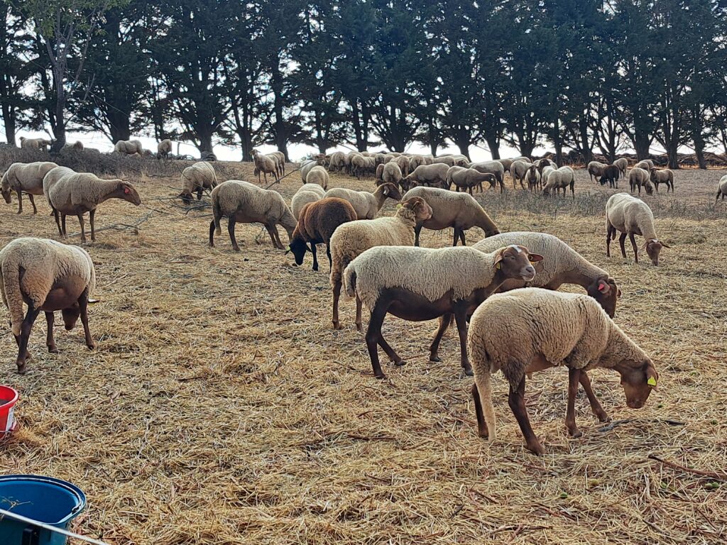 20260926 093928 - Salariés agricoles du Tarn
