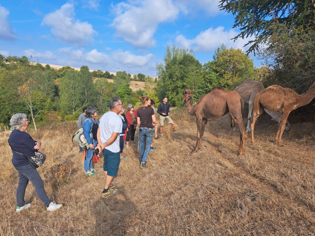 20260926 101450 - Salariés agricoles du Tarn